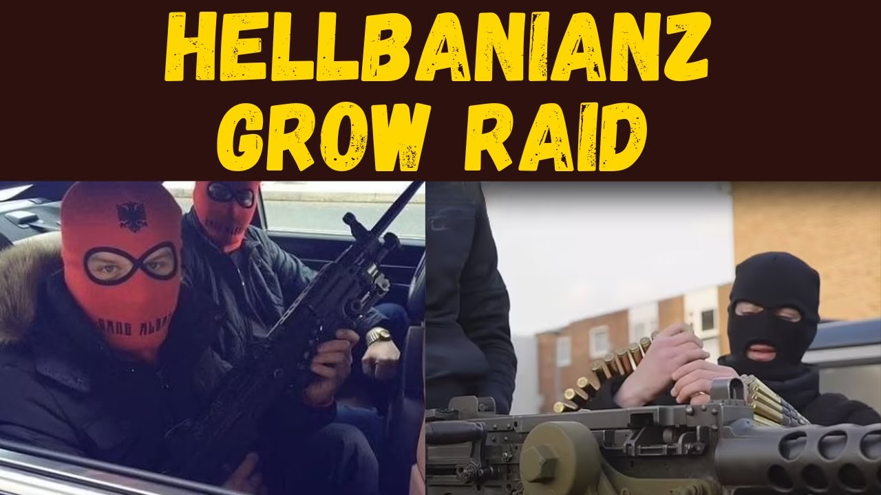 Albanian Gang Raids Rival Grow House in North London