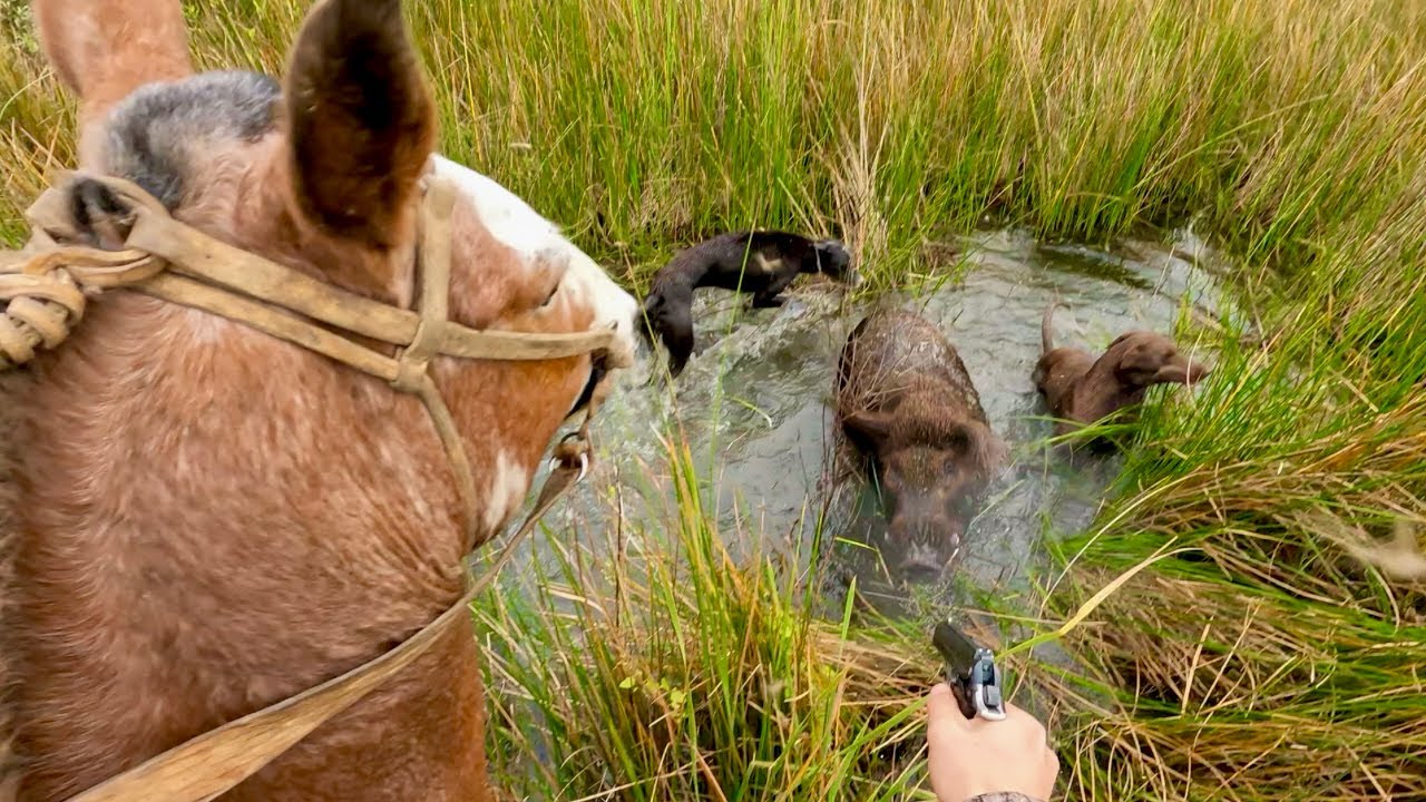 INCREÍBLE y PELIGROSA Caza de CHANCHOS SALVAJES a CABALLO en el RÍO! 🐗🔥
