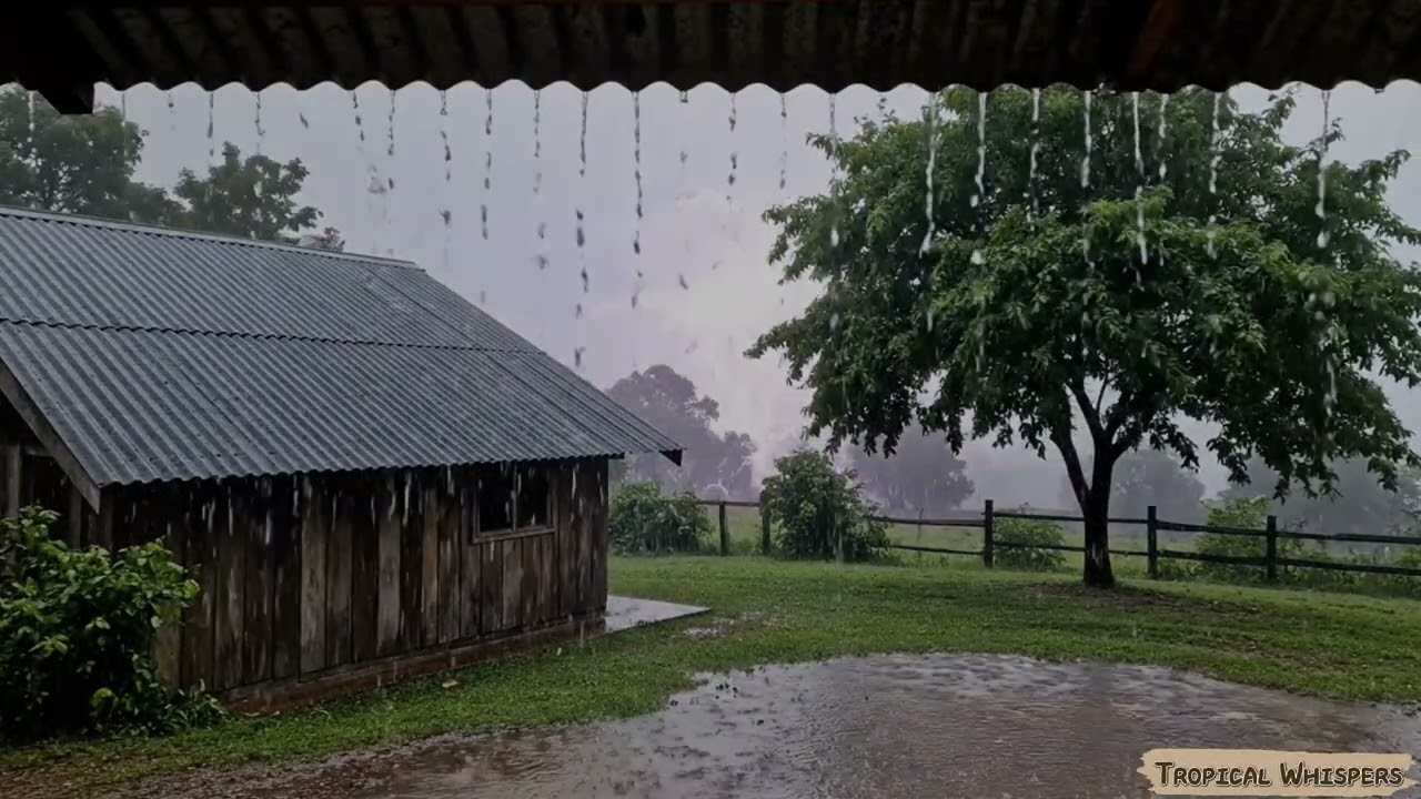 Gentle Rain and Distant Thunder &ndash; Cozy Rural Storm Ambience for Sleep, Study & Relaxation