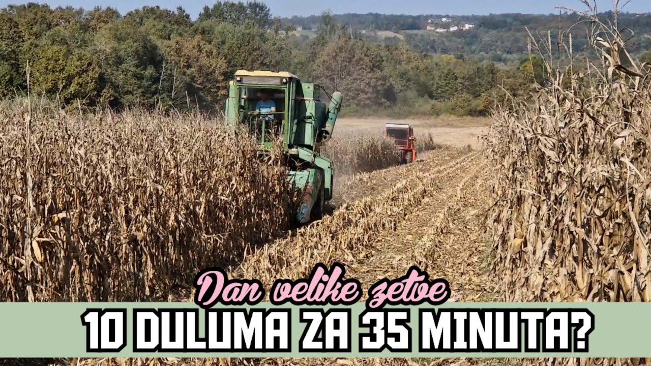 DAN VELIKE ŽETVE - DVA KOMBAJNA I PRIKOLICE OD 12 TONA!!