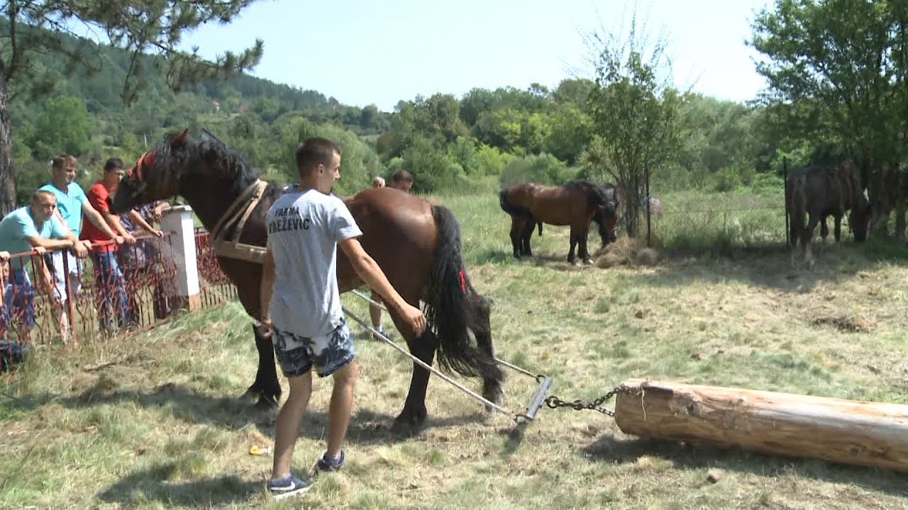 TV5 - Štraparijada u Biosci
