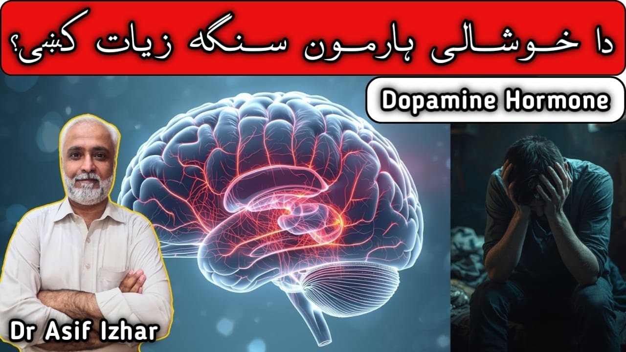 Dopamine Ko Kaise Badhaye In Pashto | Dopamine Ko Kaise Increase Kare In Pashto | Dopamine Hormone