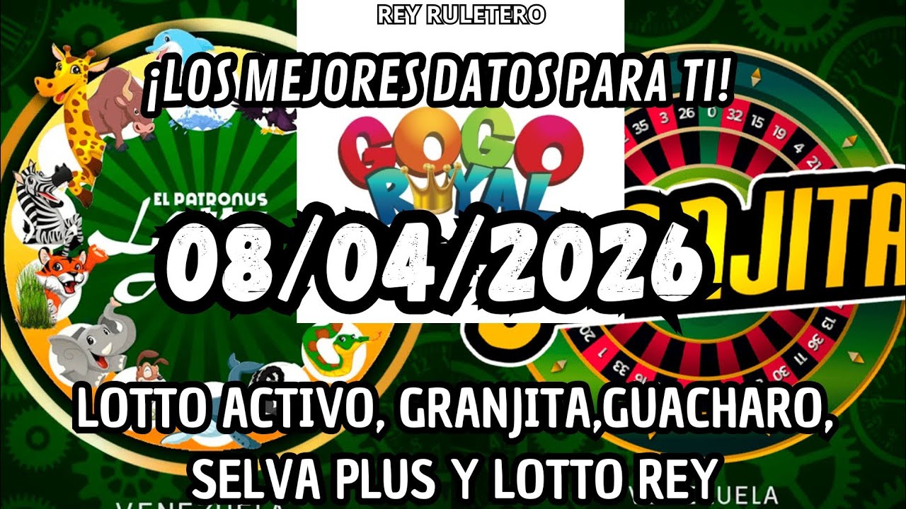✔️08/04/26 - DATOS LOTTO ACTIVO - LOTTO CHAIMA - GUACHARO - LA GRANJITA -  SELVA PLUS - LOTTO REY✔️