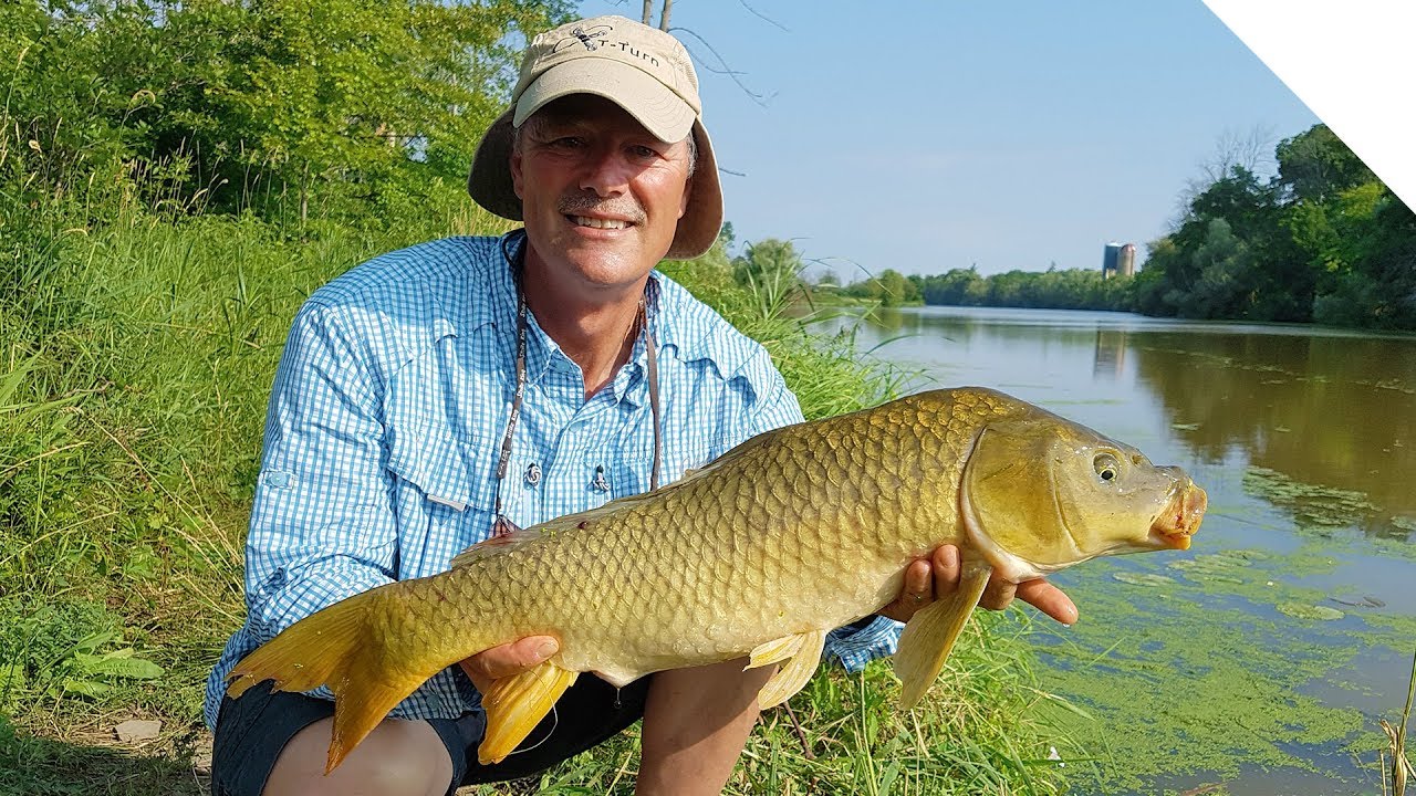 Простая оснастка для ловли карпа — Finesse Carp Fishing (оснастка со скользящим грузилом)