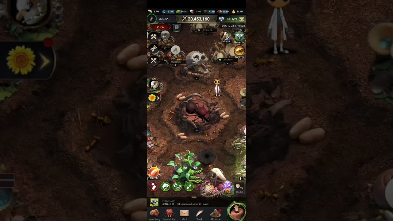 The ant underground Kingdom tips (after unlock double rewards/increase hatch speed/soldier reforms)