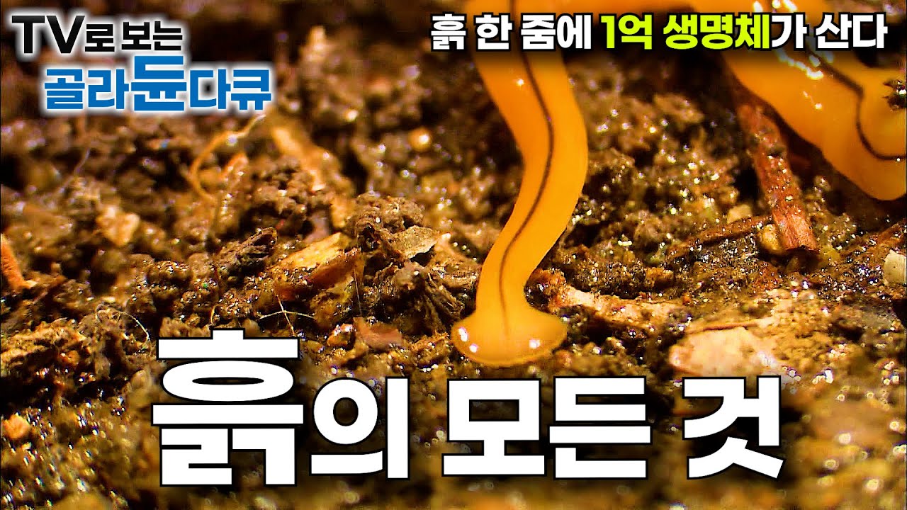 흙을 티스푼으로 퍼서 확대했더니 1억 생명체가 살고 있었다｜인간은 이해할 수 없는 자연의 신비｜다큐프라임｜#골라듄다큐