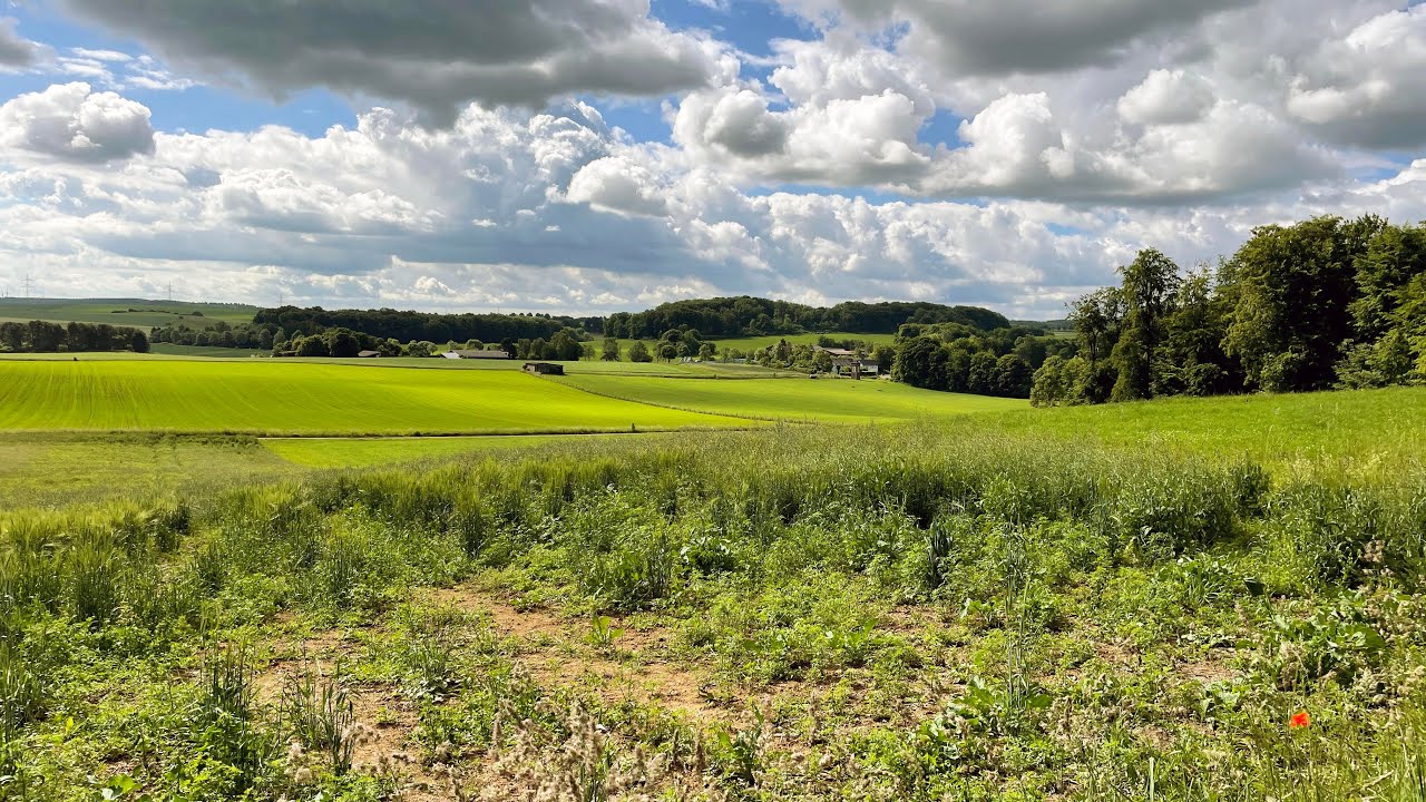 Wandelen door de Eifel - Eifelsteig etappe 6 - Kloster Steinfeld-Blankenheim