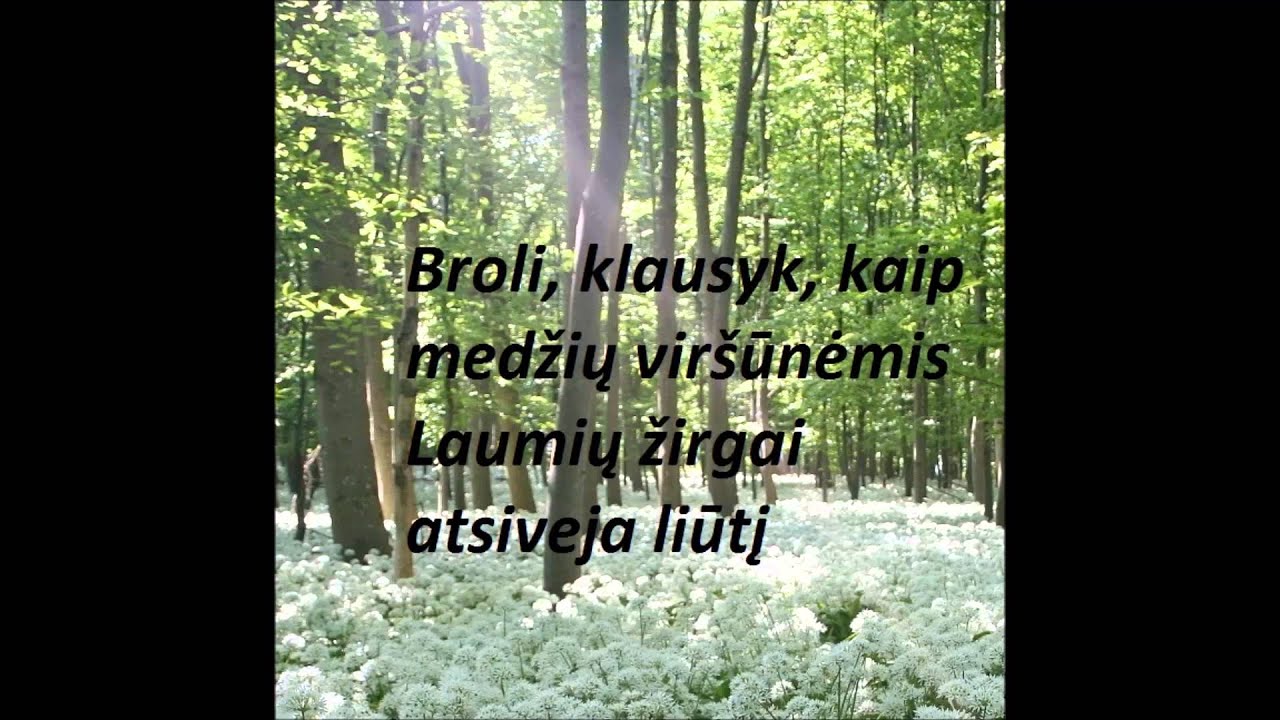 Eglė Sirvidytė - Mano namai Žodžiai