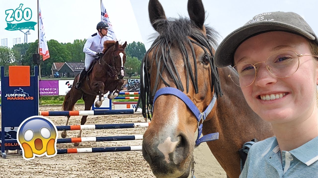 MEGA GROOT EVENEMENT OP STAL!! Jumping Maassluis 😱  | Zoo Lianne