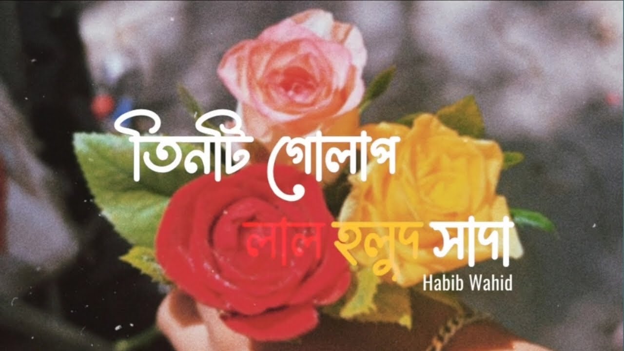 তিনটি গোলাপ লাল হলুদ সাদা - ( Lyrics ) | Ekjone | Habib Wahid | একজনে | Lyrics Video