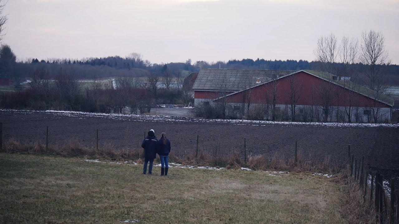 Svinefabrik på Tuse Næs