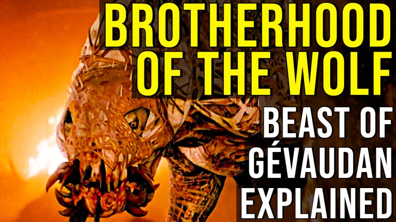 BROTHERHOOD OF THE WOLF (The Beast of Gévaudan) EXPLAINED
