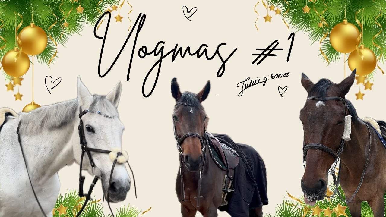 Vlogmas by Julia.sj.horses 🤶🏼🎄 | Treningi & Daily Vlog stajenny