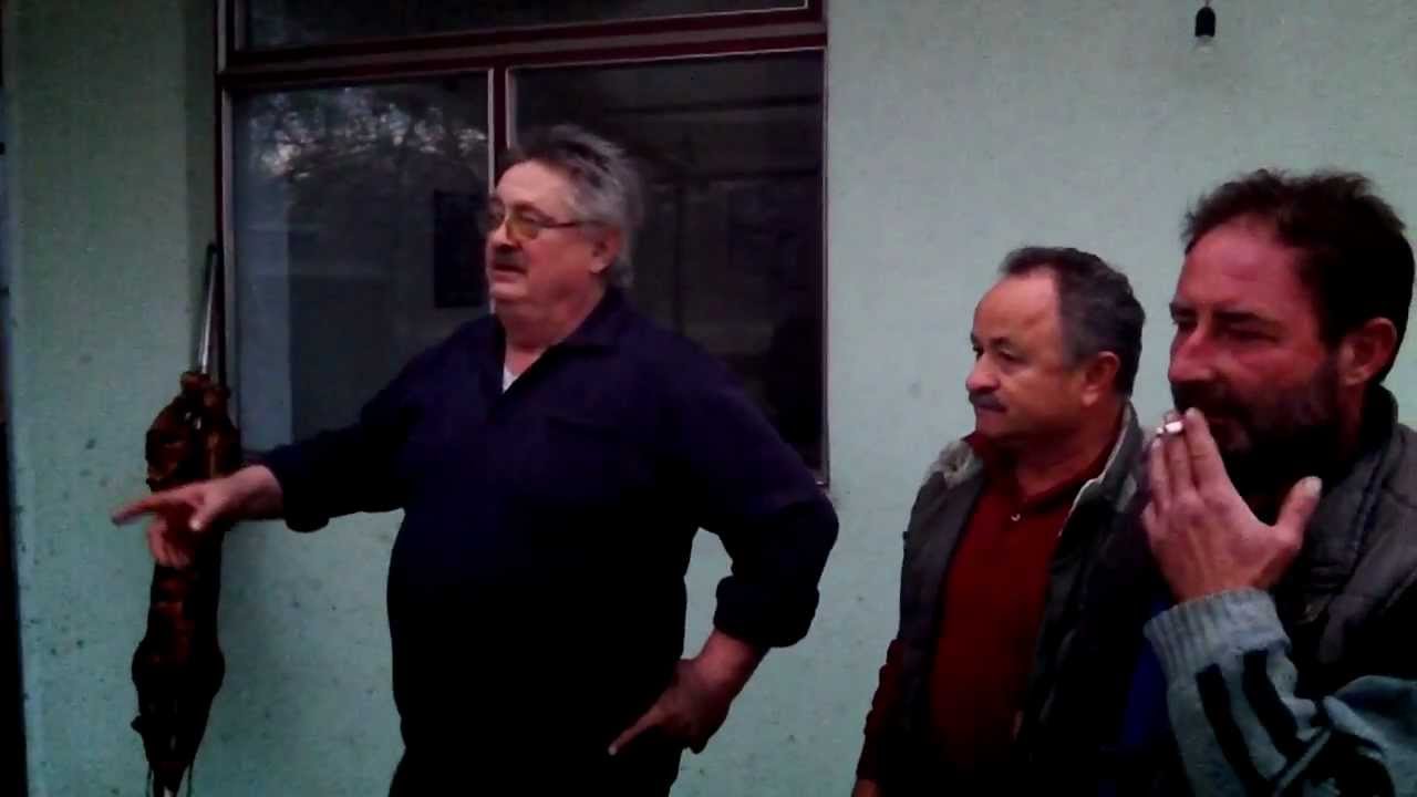 vic donji miholjac