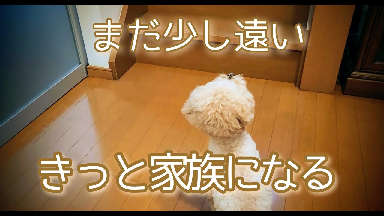 【赤ちゃんと】はじまりの日