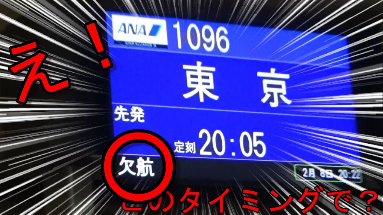 【欠航の瞬間】その時乗客たちは…