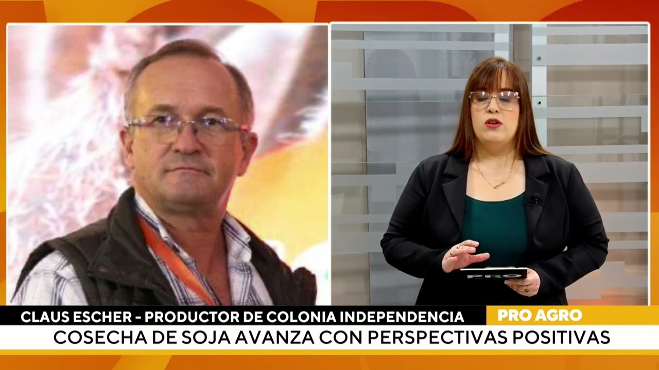 Cosecha de soja avanza con perspectivas positivas