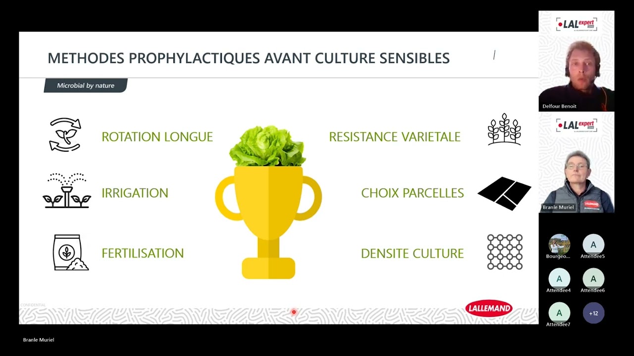 💡 LALEXPERT Webinar : Sclérotinia & gestion de l’inoculum du sol