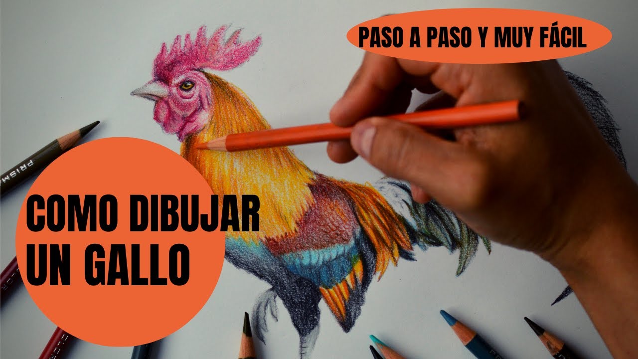 Cómo Dibujar Un Gallo Realista Paso a Paso Muy fácil