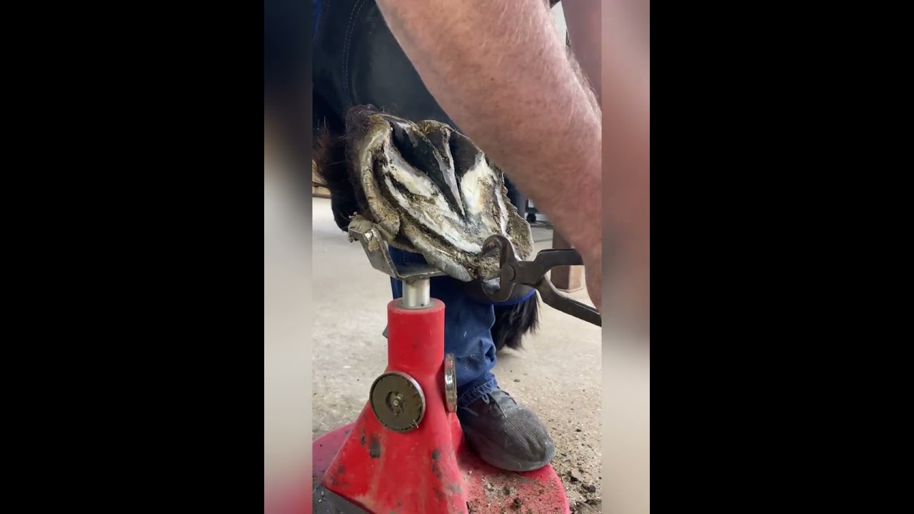 HUGE DRAFT RESCUE TRIM!!