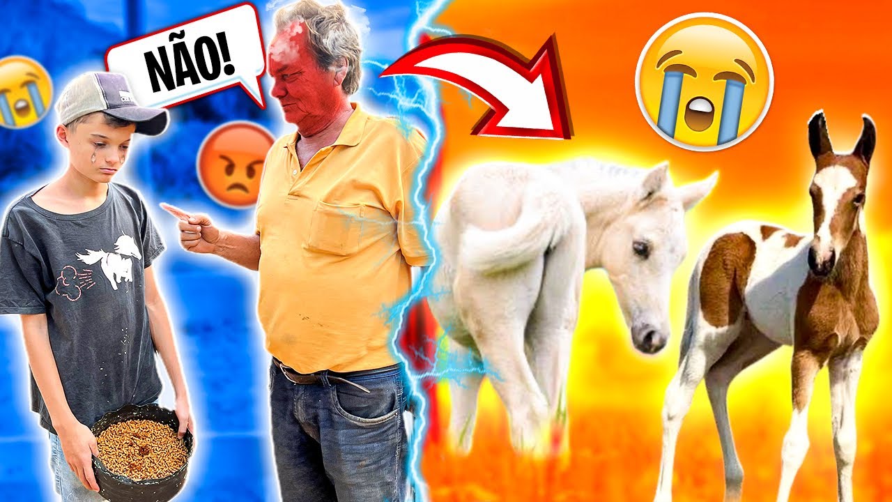 PAI do PEÃO Abeia NÃO quer DEIXAR ele GANHAR um CAVALO