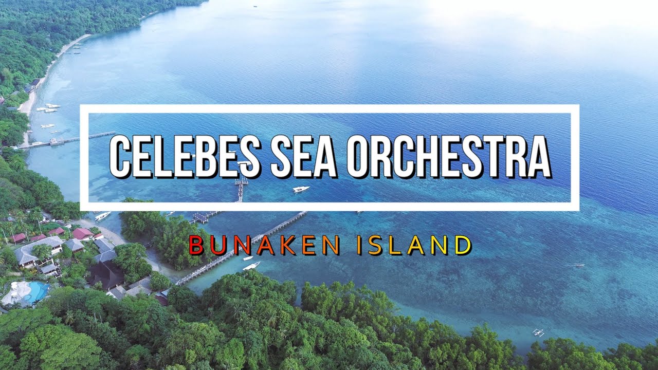 Celebes Sea Orchestra — Bunaken’s Coral Symphony | Scuba Diving in Sulawesi, Indonesia [4K]