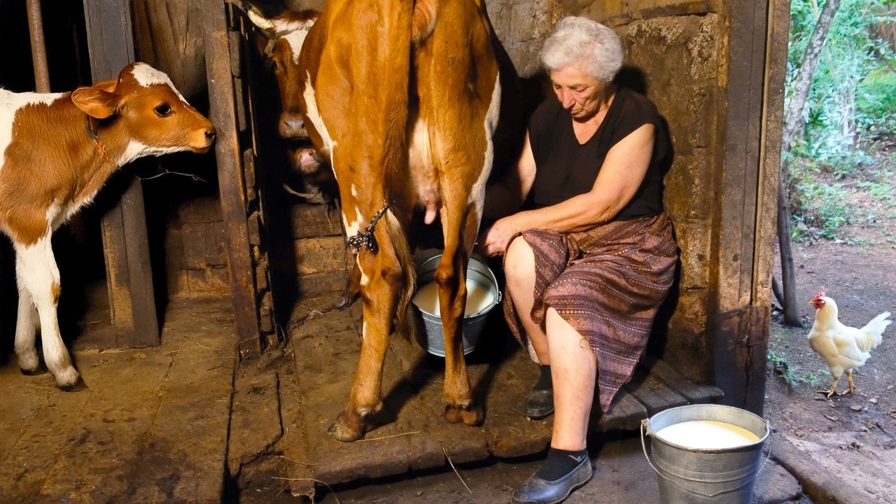 Thriving in Rural Isolation with a Self Sufficient Family