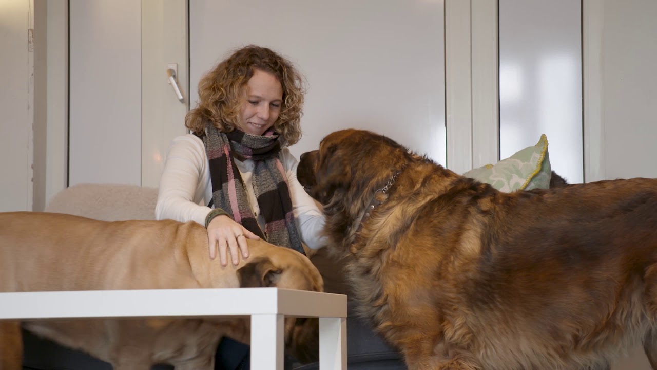 Zorgboerderij Lenteheuvel item Helemaal Gek Van S02E11 RTL4 8 december 2019