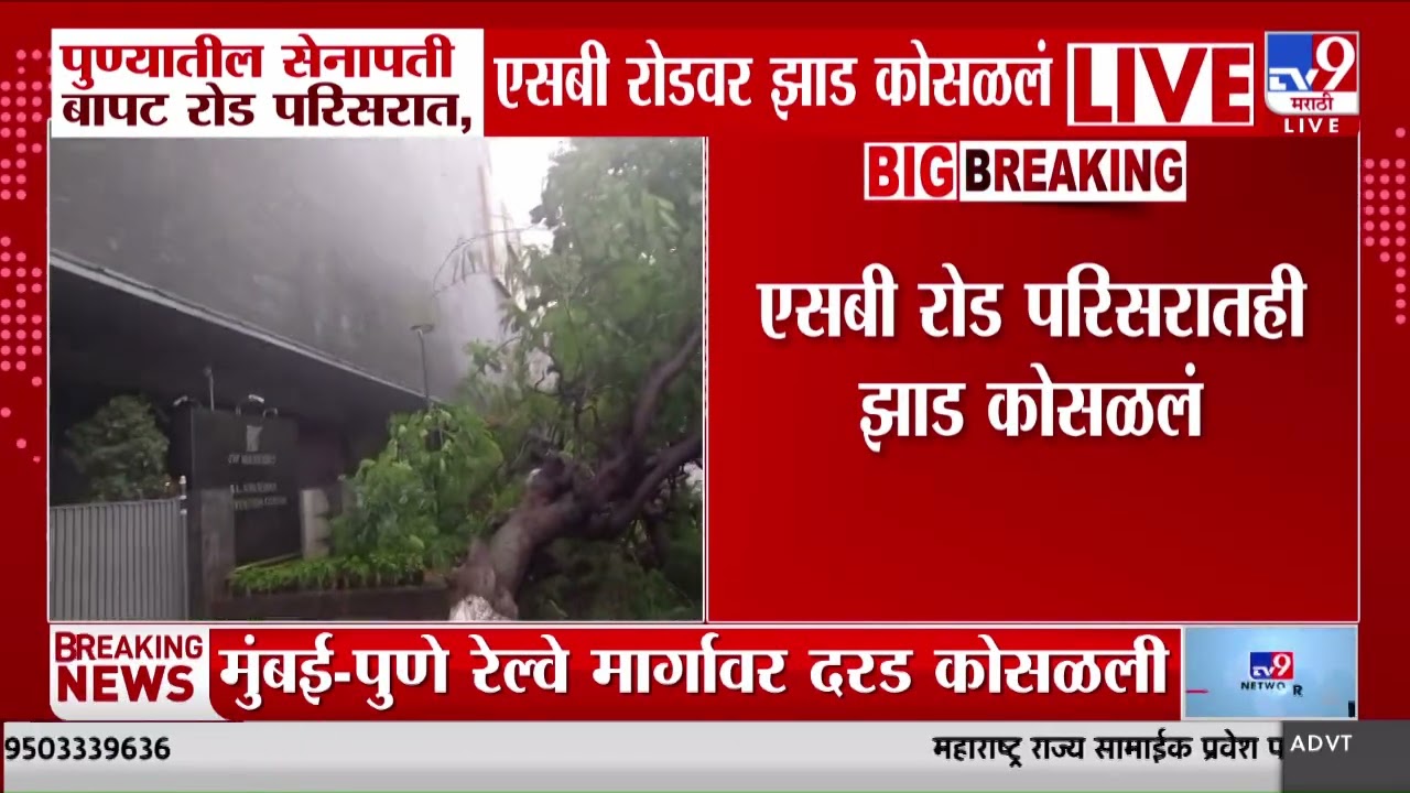 Pune Rain | पुण्यातील सेनापती बापट रोड परिसरात, पुण्यातील एससी रोडवर झाड कोसळल