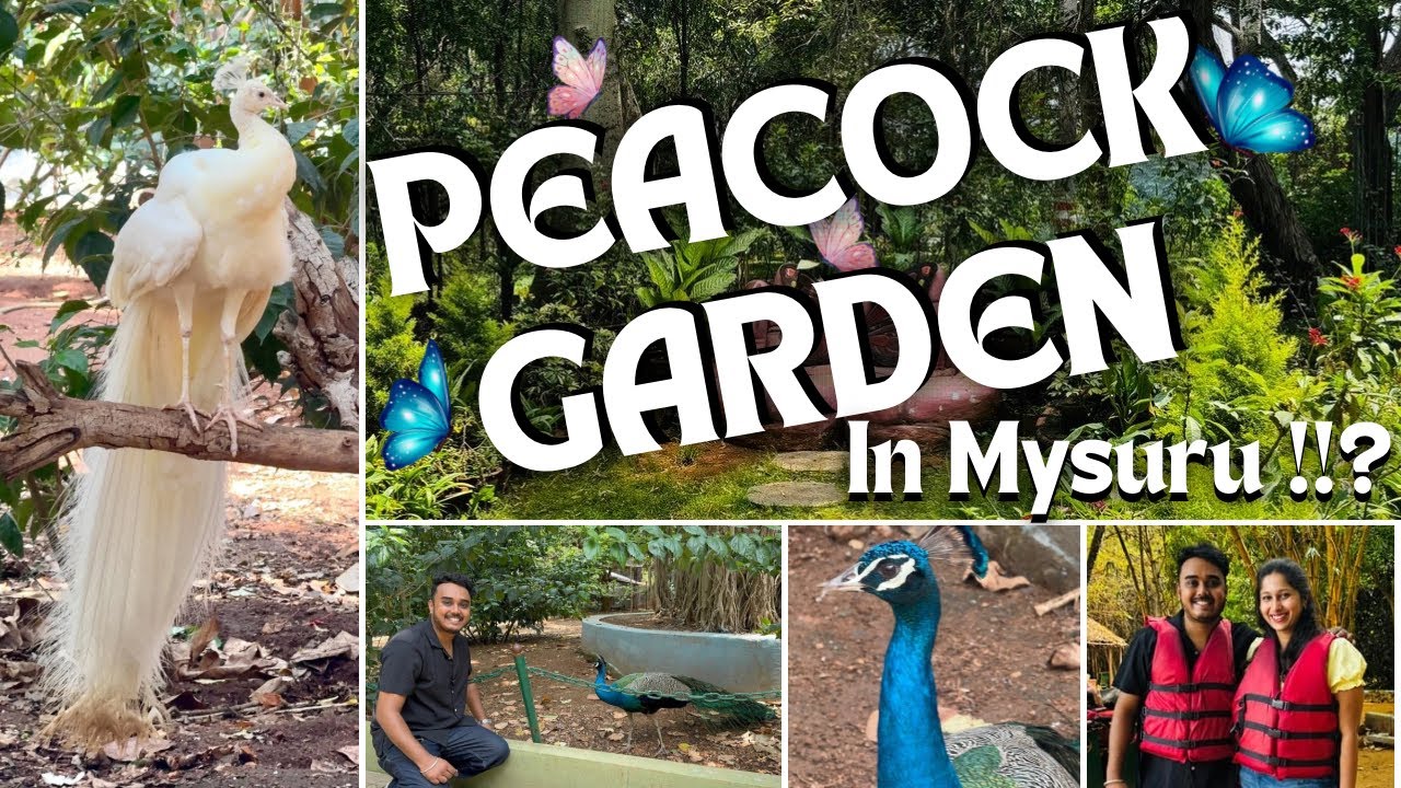 Peacock garden in Mysuru !!? | Butterfly Park | Boating | Weekend in Mysuru | Kannada vlog | Pramod