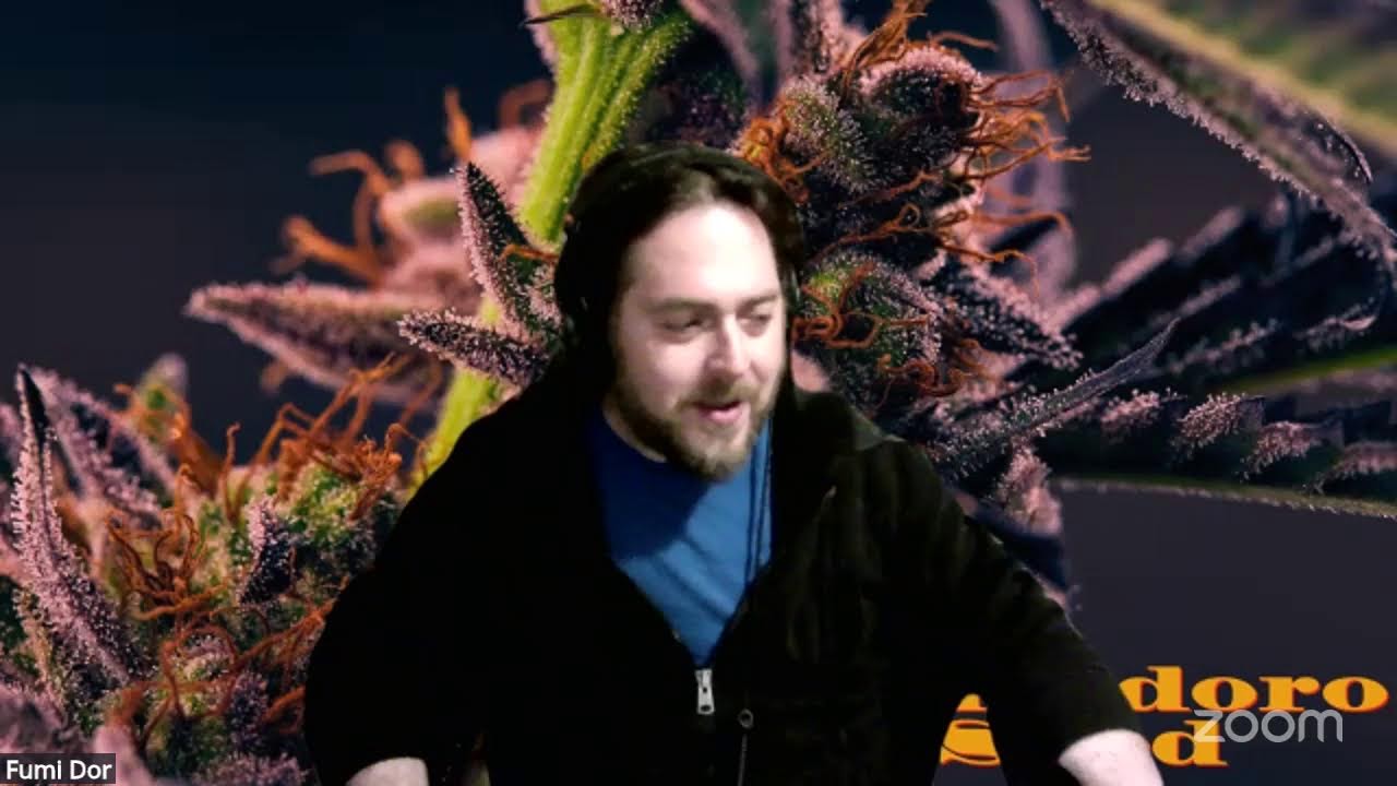 Blooming the Flora Nugs with our good buddy South Bay Genetics