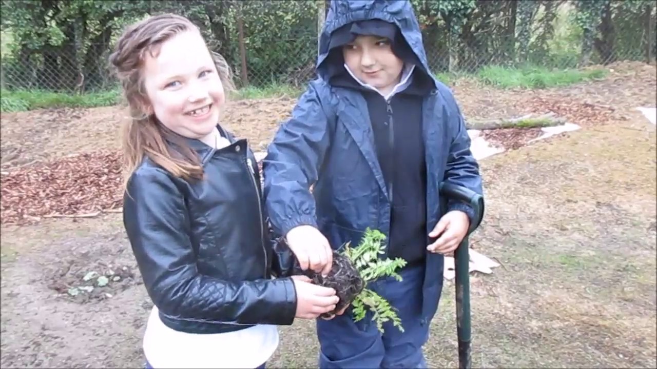 Peace Garden in Gatehouse School