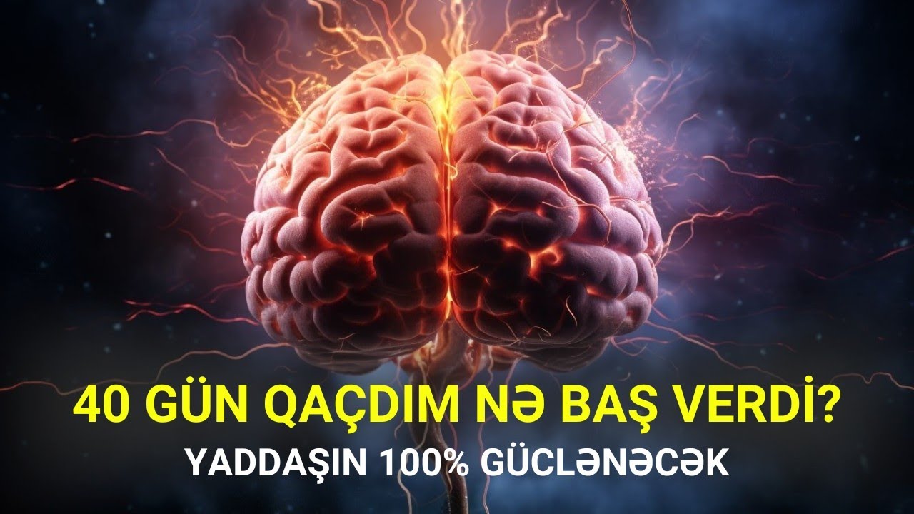 💪🏻🧠Qaçış YADDAŞ və BEYİN fəaliyyətini necə GÜCLƏNDİRİR?!