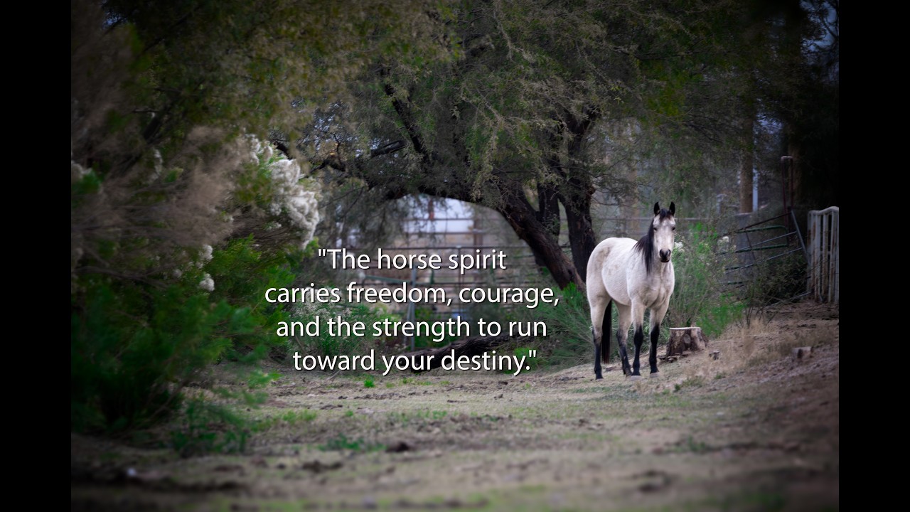 Daily Animal Spirit Oracle 🪶 | Messages From the Wild for Your Soul
