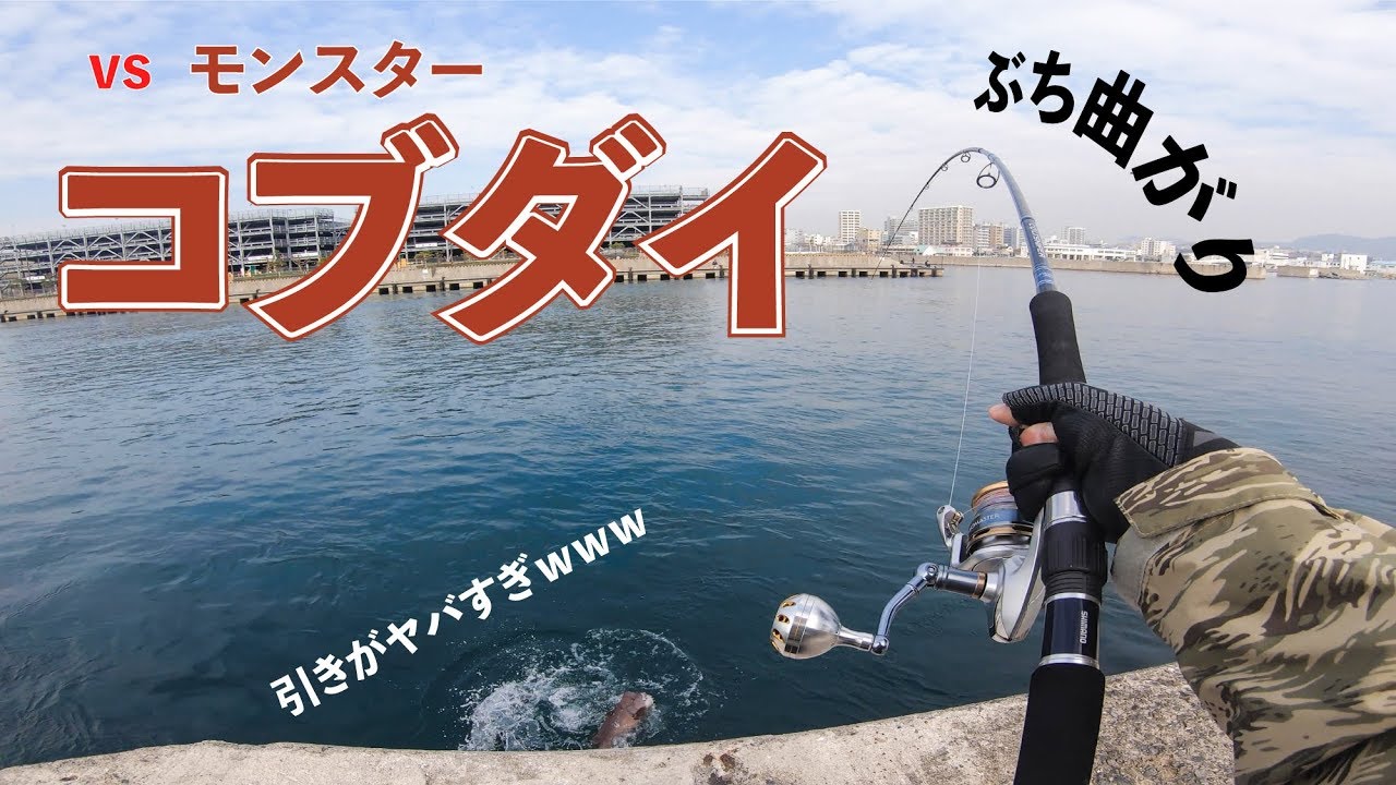 沖堤防に潜むモンスター！「巨大コブダイ」とのパワーファイトに挑戦