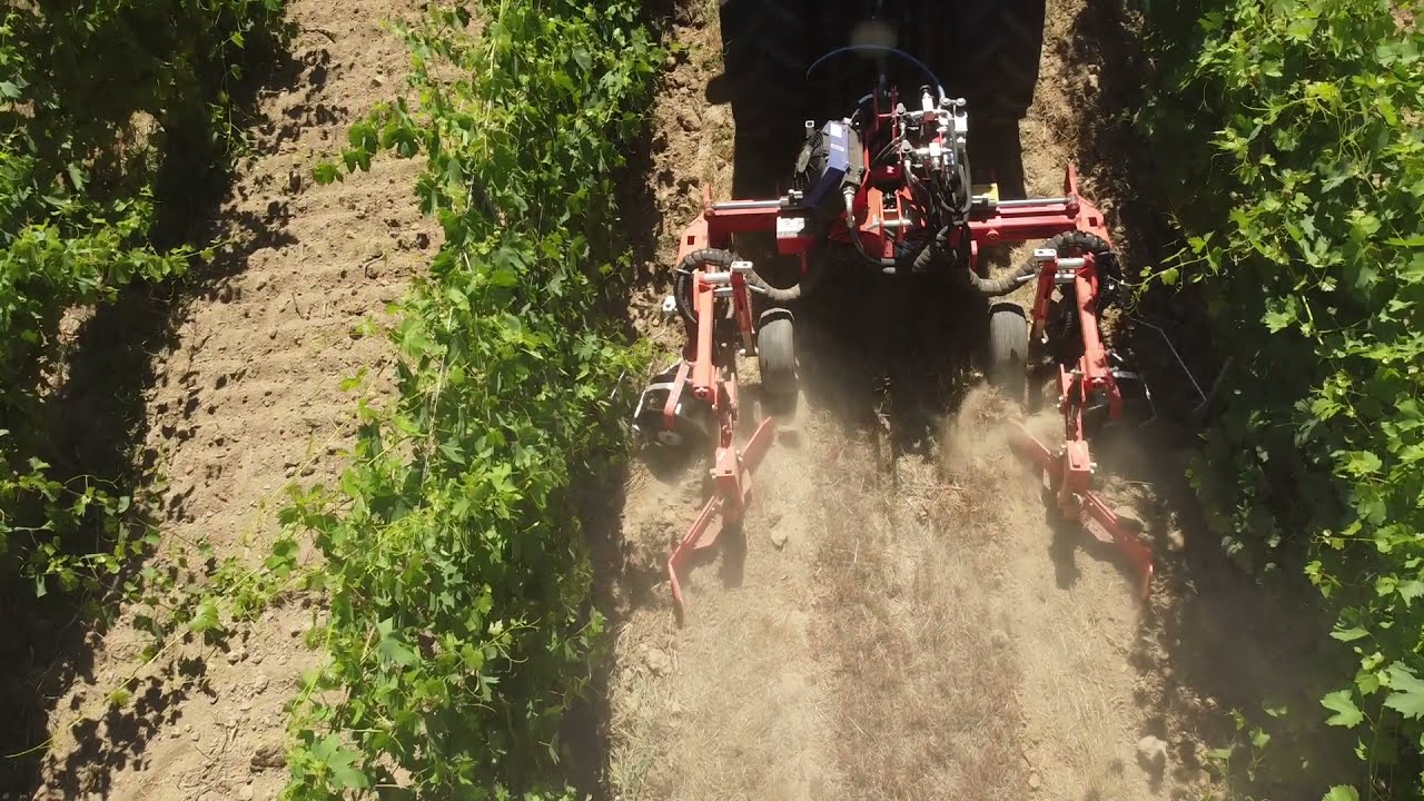 Prove in campo Enovitis 2021. Interfilare con dischi motrici.