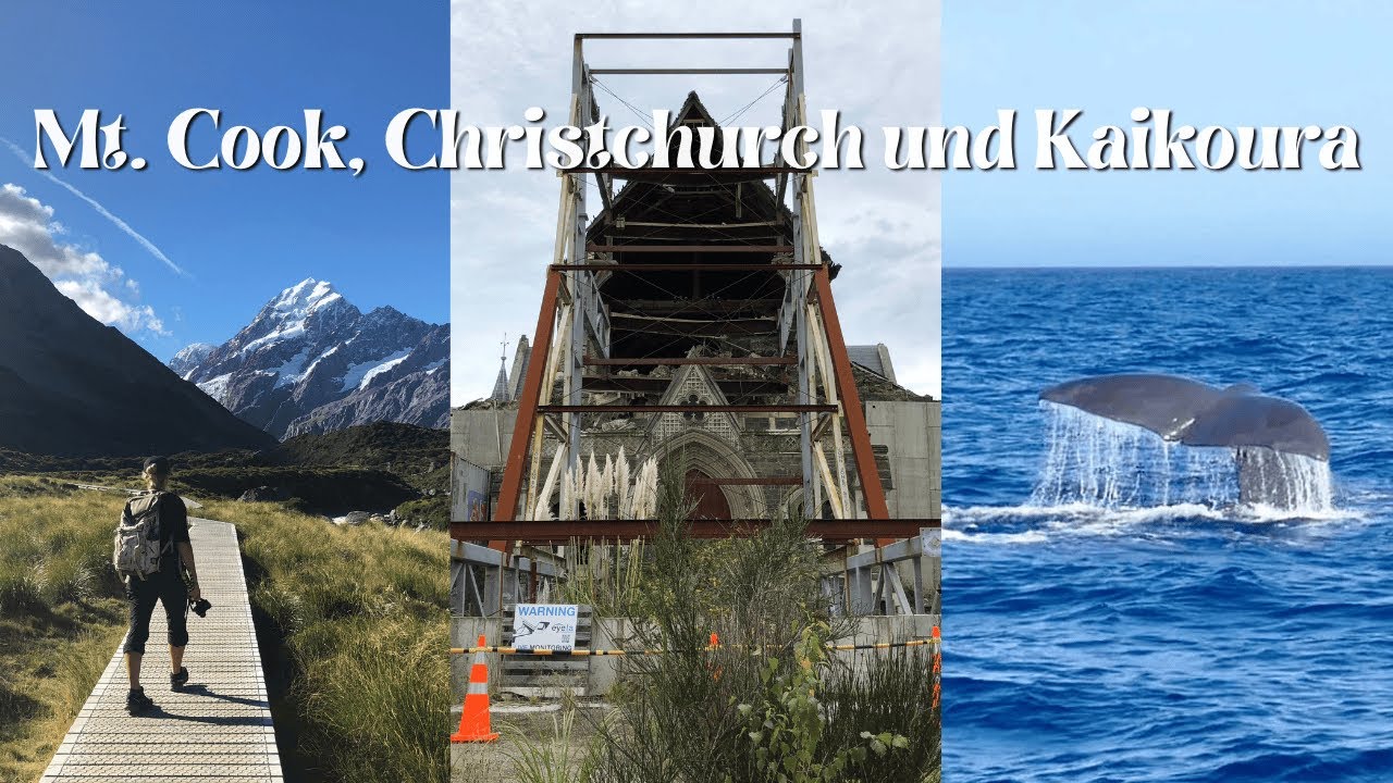Mt. Cook, Christchurch und Kaikoura - Luise in Neuseeland