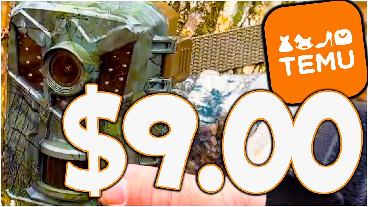 $9.00 TEMU Trail Camera: 1-Month Comedic Follow-Up | Honest Review & Surprising Results!