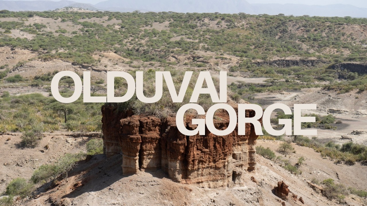 Olduvai Gorge: Cradle of Humanity