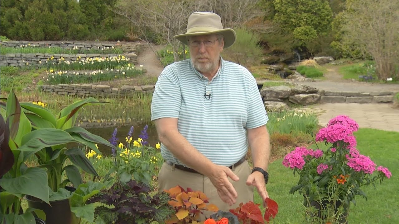 Les nouveautés horticoles 2016 | Dans mon Jardin