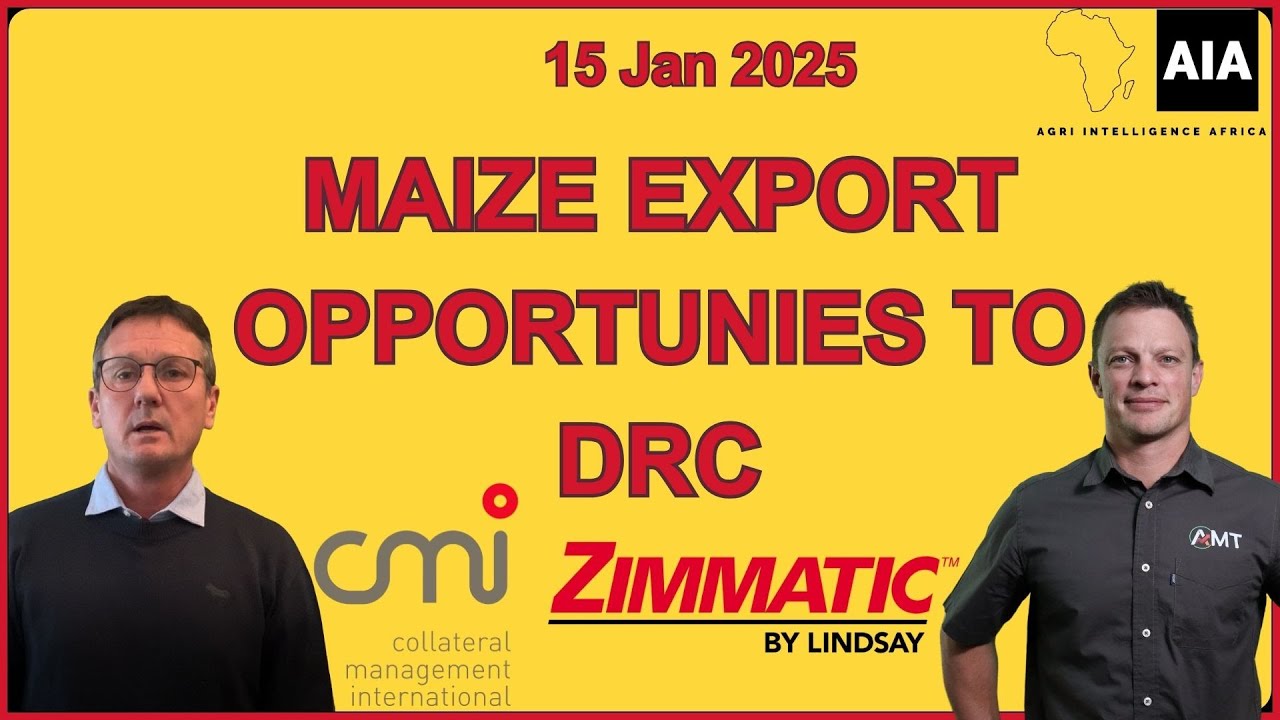 Maize export opportunities to the DRC | African Grain Report – 15 Jan 2026