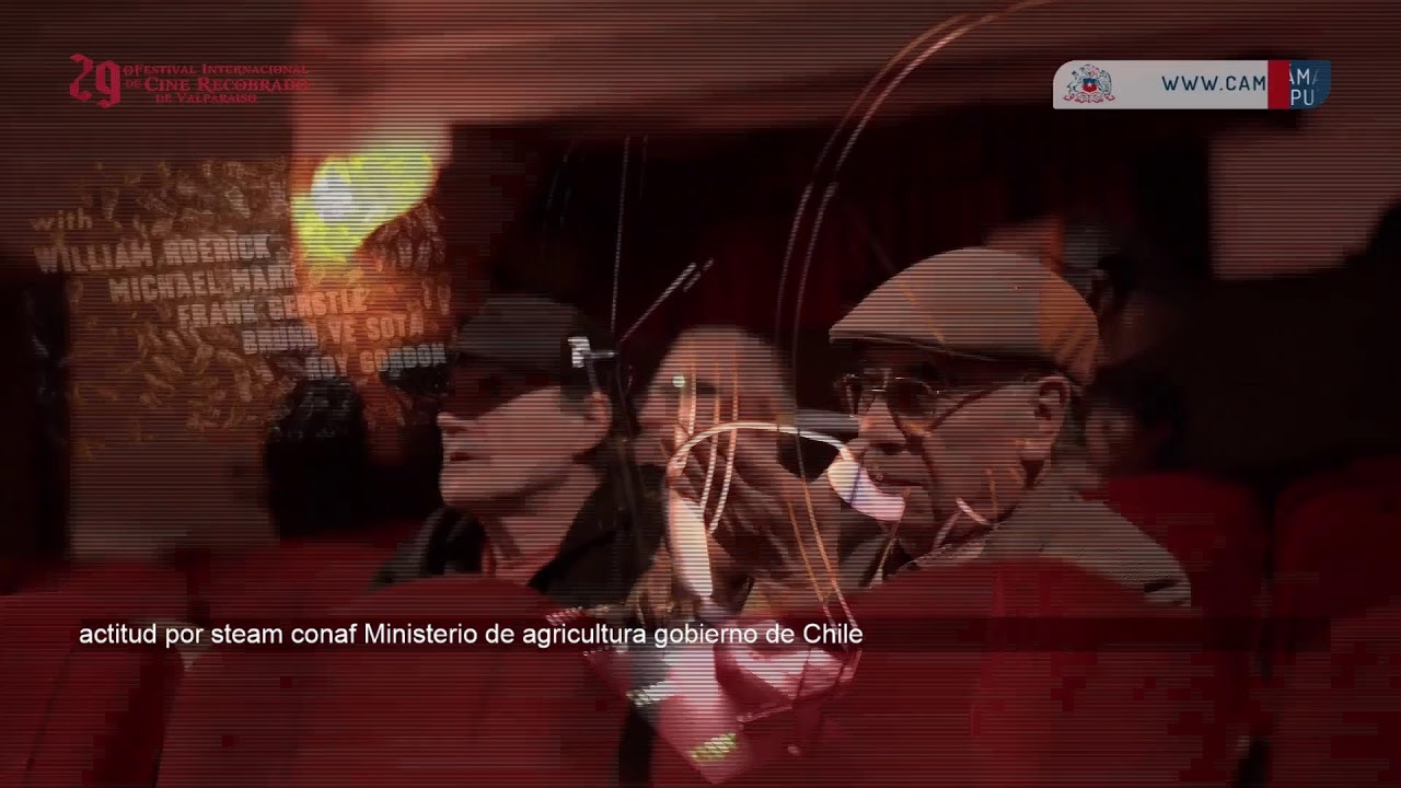 Emisión en directo de Diputadas y Diputados de Chile