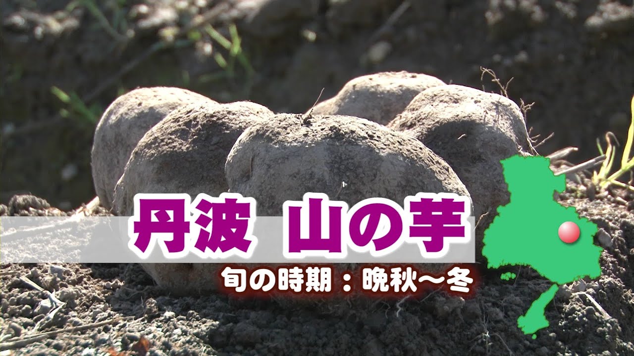 ひょうご五国のめぐみ～旬の食材を求めて～【丹波・山の芋編】