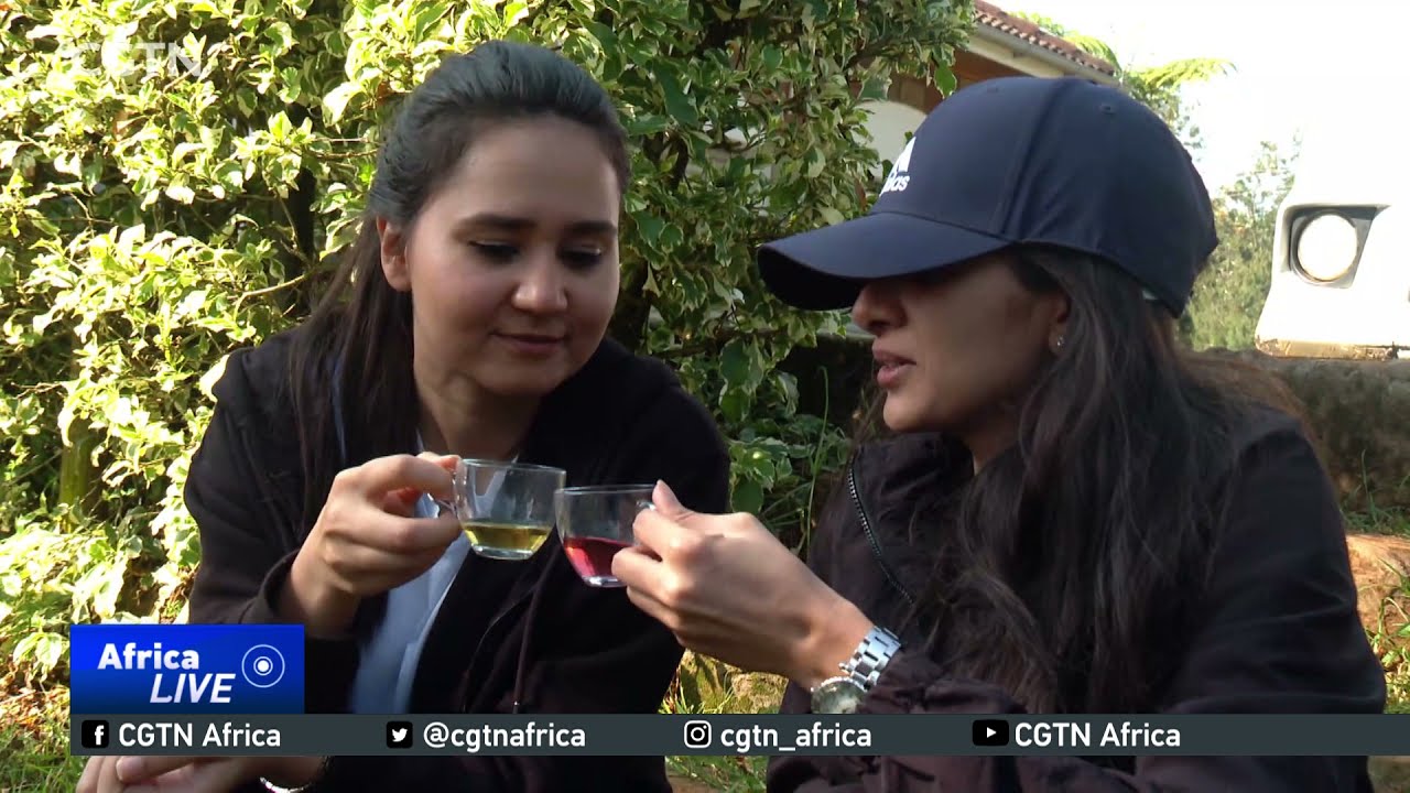 Farm Tourism gaining popularity