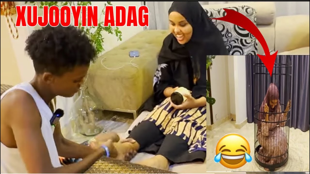 QOFWALBA QOFKA KALE HA XUJAYSTO QOSOLKA ADUUNKA🤣🤣ASXAABTA AYAN ISKU BALAMIYAY