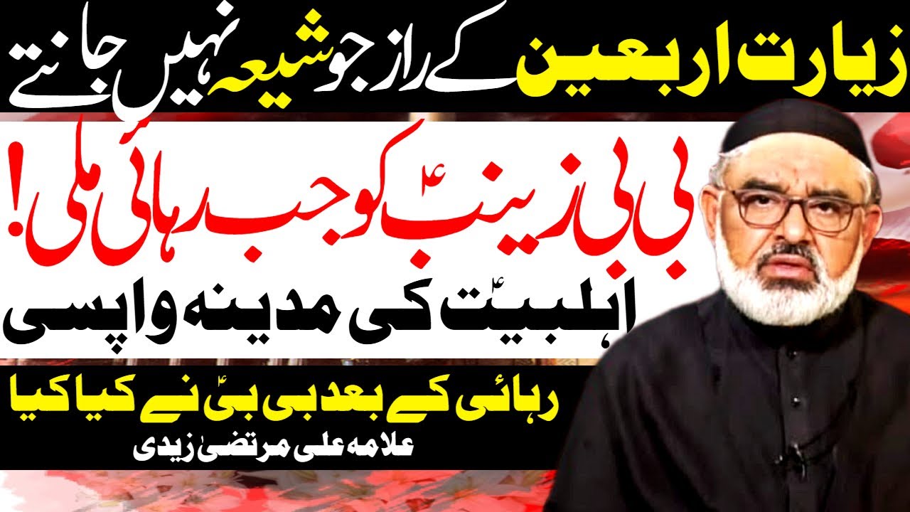 Bibi Zainab Ko Jab Rihayi Mili | Allama Ali Murtaza Zaidi | Al Zamin Tv