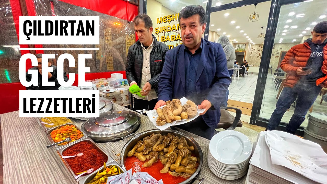 ADANA'NIN ÇILDIRTAN GECE LEZZETLERİ!!! BÖLÜM 3