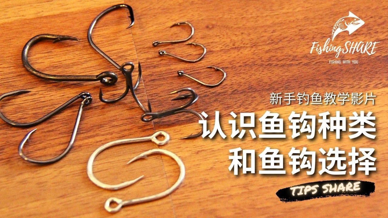 【FishingShare】认识鱼钩种类和鱼钩选择（新手钓鱼教学影片）| understanding the TYPES OF HOOKS & HOW TO CHOOSE A HOOK