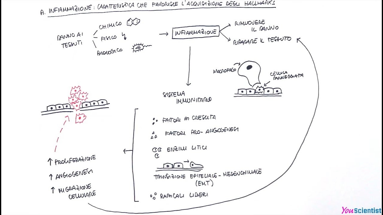 Infiammazione
