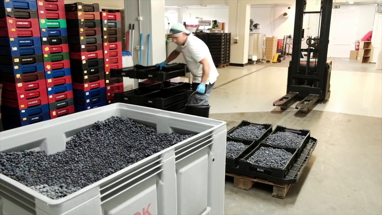 Latvija var! 7.08.2017 